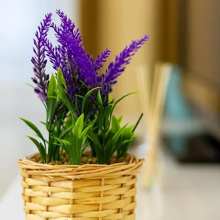 Luxury On Andrassy Avenue - A7 *