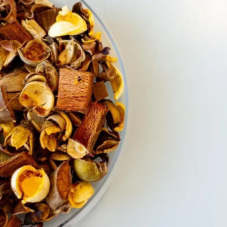 Luxury On Andrassy Avenue - A7 布达佩斯